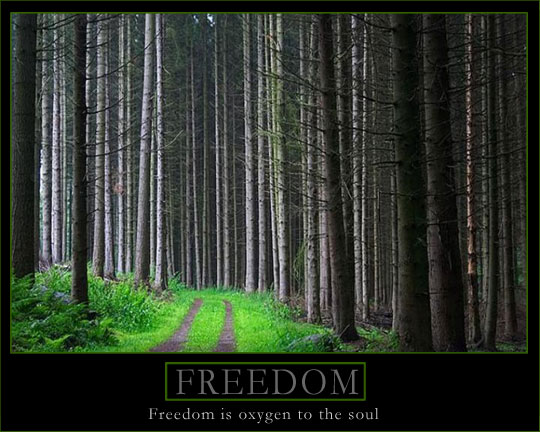 Poster: Freedom is oxygen to the soul