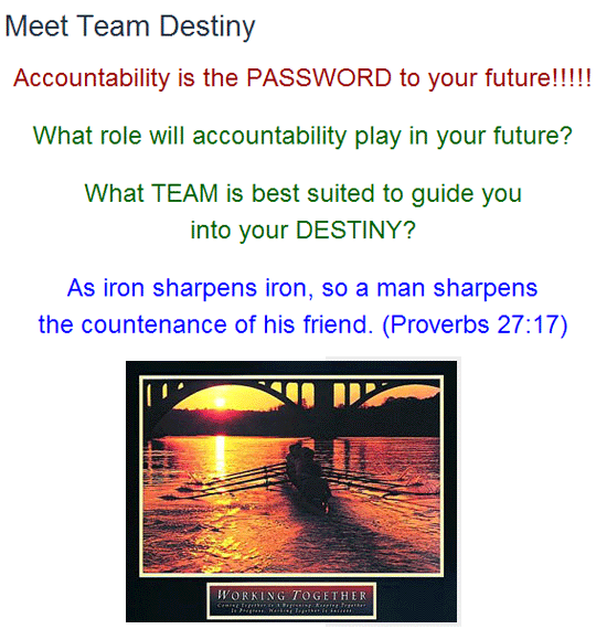 Meet Team Destiny