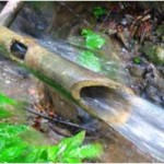 Water gushing from bamboo